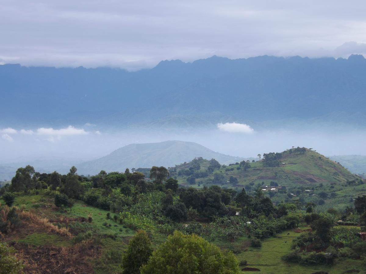 Isunga Lodge Kibale National Park Екстер'єр фото